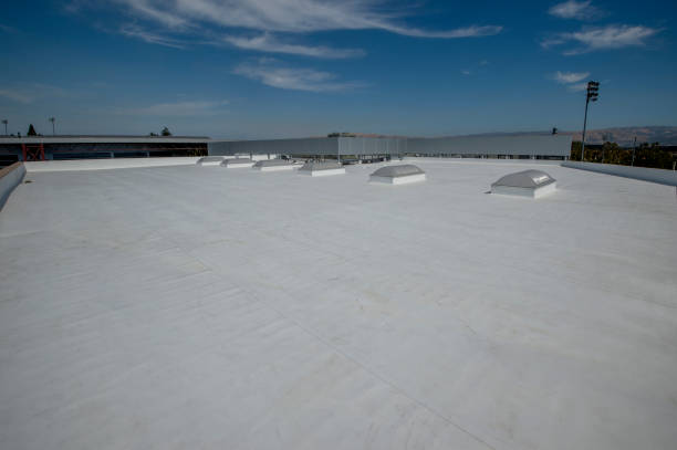 Best Rubber Roofing (EPDM, TPO)  in Lake Caroline, VA