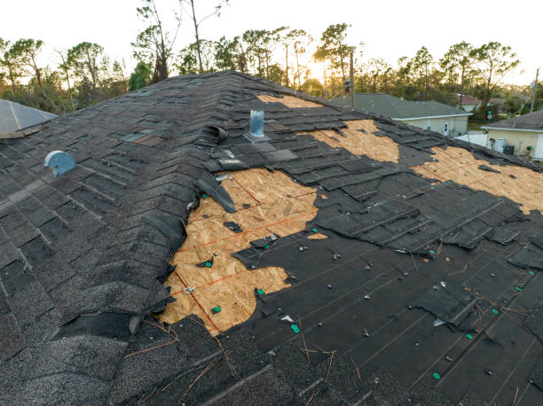 Best Storm Damage Roof Repair  in Lake Caroline, VA